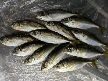 まだまだいけそうですね