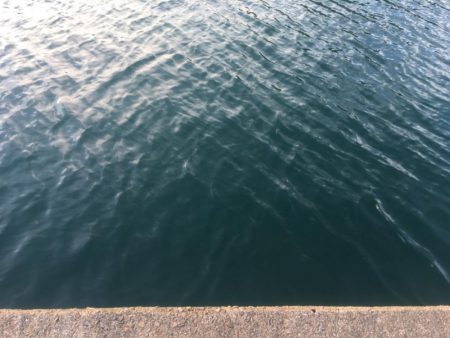 試行錯誤ヤエン