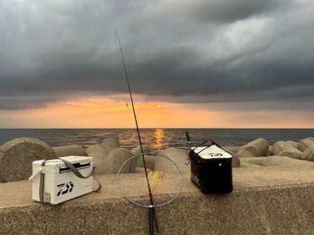 魚津港フカセ夜釣り