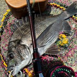 ヘチってきました