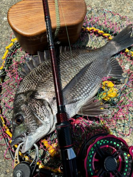 ヘチってきました