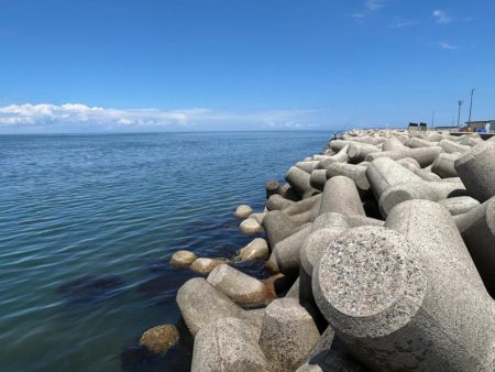 魚津港フカセ釣り