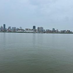 トップで釣るはずが！