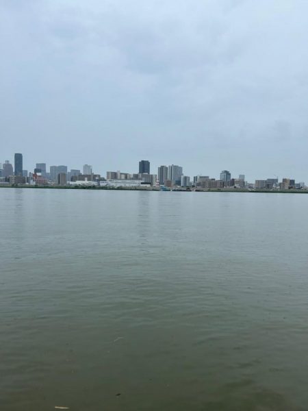 トップで釣るはずが！