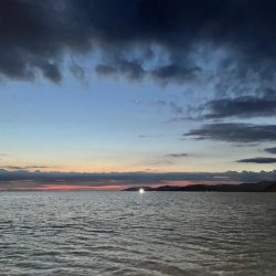 ナイトバチコンアジング&イカメタル