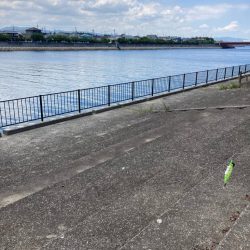 ⭐️サイズアップ求めて