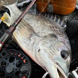 ヘチってきました