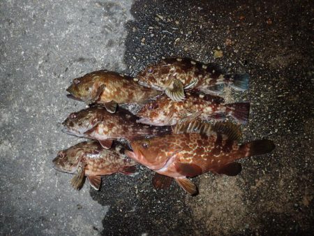 今年はやや遅れ気味？