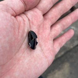 暴風のチヌ釣り