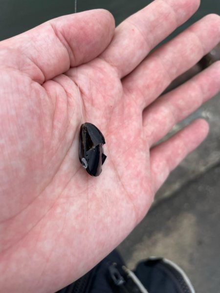 暴風のチヌ釣り