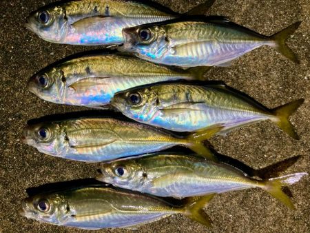 居残り組を釣る!😔