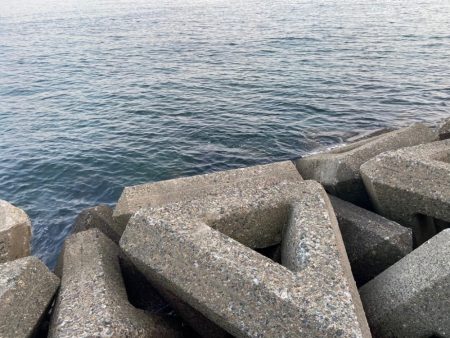 シロギスタのコッチコチやぞ