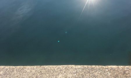 日本海アオリイカ釣行