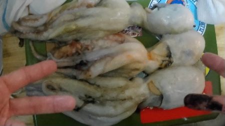 船タコぼちぼち