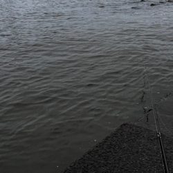 長めのフォール!!4つ目のバイブレーションの使い方