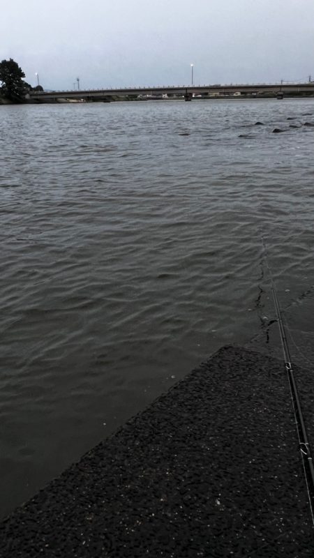 長めのフォール!!4つ目のバイブレーションの使い方