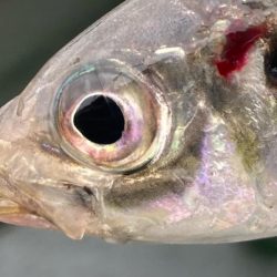 ちょっと様子見のつもりが‼︎