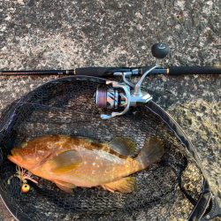 やっとまともに釣れた