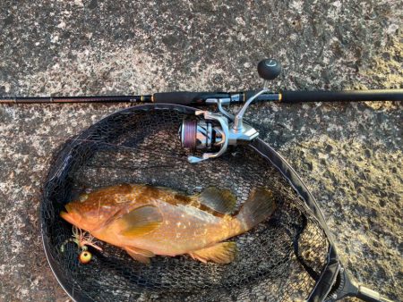 やっとまともに釣れた