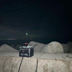魚津港フカセ夜釣り