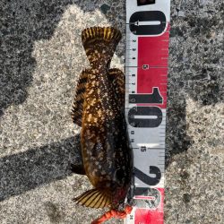 小浜ライトロック