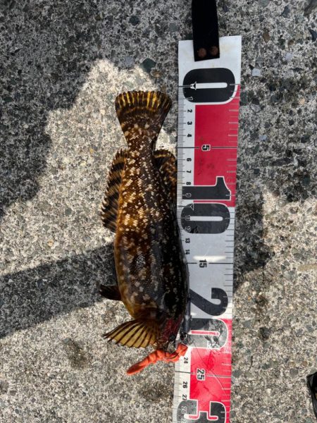 小浜ライトロック