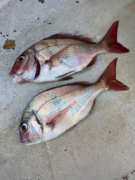 大原沖、LTイサキ