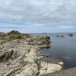 福井市 鷹巣地磯フカセ釣り