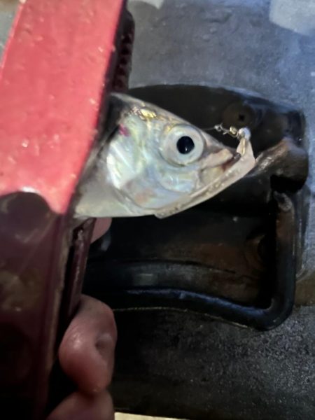 雨の中の表層パターン