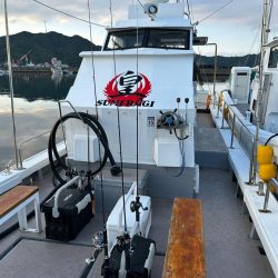 タイラバからのジギング 鳴門