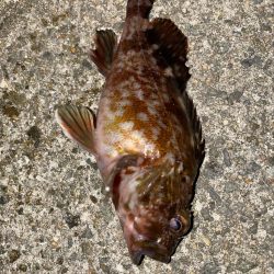 ドン引きする程の激渋