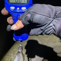 エギング楽しい(^.^)