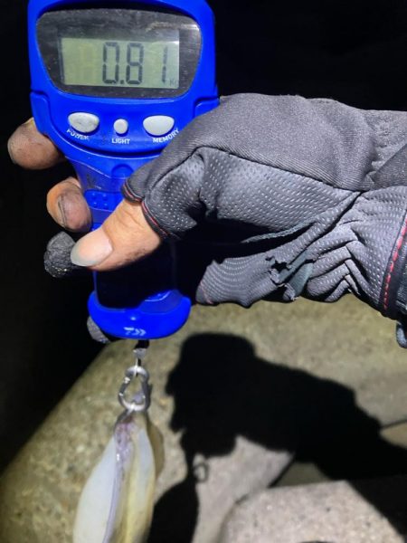 エギング楽しい(^.^)