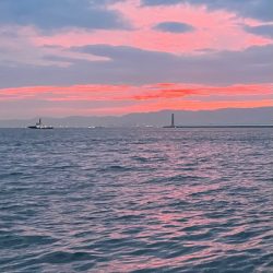 ナイトアジング