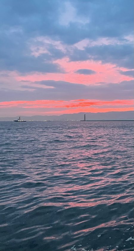 ナイトアジング