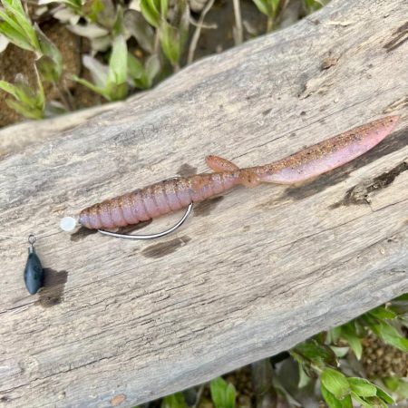 久しぶりのホームレイク