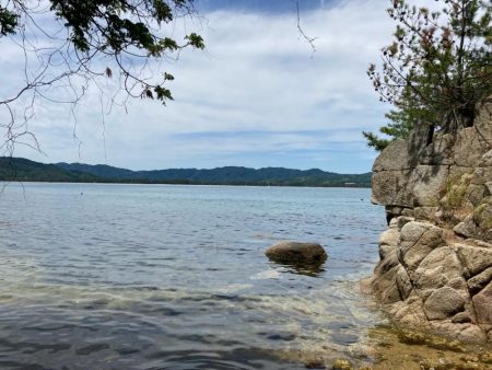 キス狙いで多彩&嬉しいゲスト