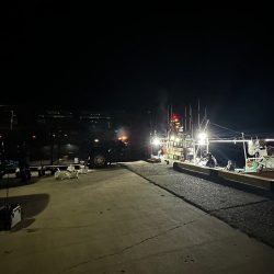 白イカ・アジ釣行