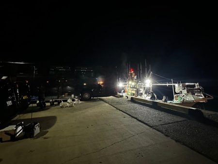 白イカ・アジ釣行