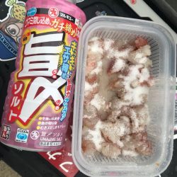 室津のフグタコ便