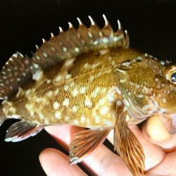 A地点〜B地点へ、ランガン🎣