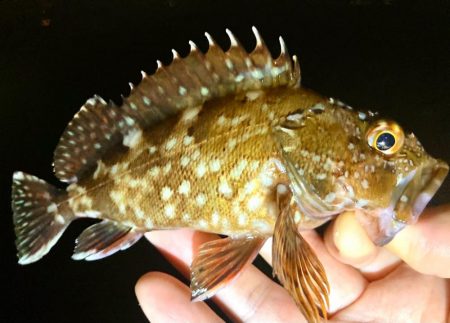 A地点〜B地点へ、ランガン🎣