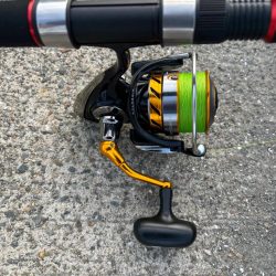 タコは気まぐれ 6