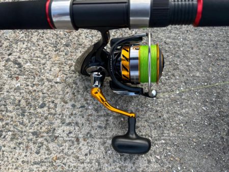 タコは気まぐれ 6