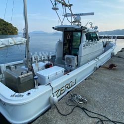 そろそろケンサキイカが来ました