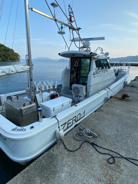 そろそろケンサキイカが来ました