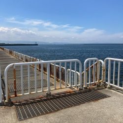 ⭐️新子ばっかり