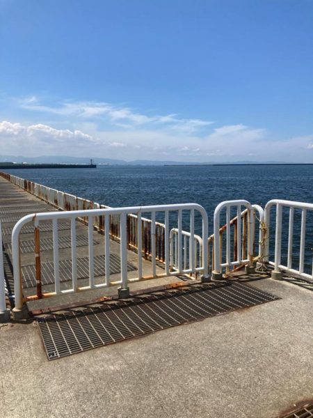 ⭐️新子ばっかり