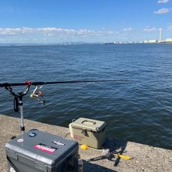 エビ撒きでハネ釣り