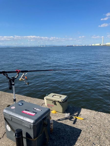 エビ撒きでハネ釣り